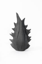 KatBlack20250177 - Image 3