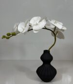 KatBlack20250396 - Image 2